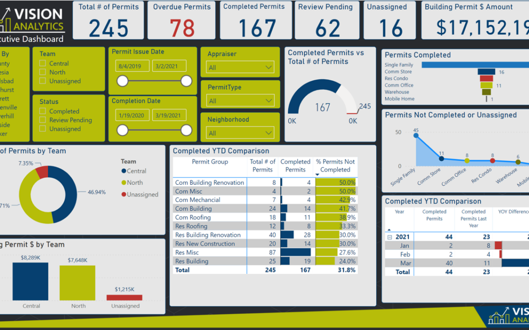 Vision Analytics: A Vision Government Solutions Platform